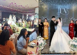 Tôi đến chúc phúc chồng cũ, không ngờ lại trở thành trò cười cho cả đám cưới, khiến cô dâu mới giận tím mặt