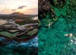 Tôi không thể quên âm thanh của đàn cá voi 100 con ở đảo Phú Quý