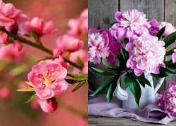 Tử vi 3 ngày liên tiếp (29, 30 và 31/7), 3 con giáp tay cầm vàng, miệng ngậm ngọc, phú quý dư dả, mua nhà lầu xe hơi