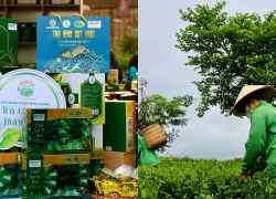 Văn hóa chè mở hướng phát triển du lịch cho Tân Cương