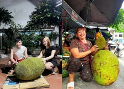 Xuất hiện quả mít 50kg ở Bắc Ninh, mỗi năm chỉ ra 1-2 quả, hương vị gây tò mò