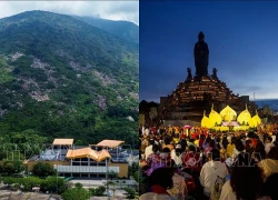 Kết nối hệ sinh thái rừng với không gian di sản, phát triển du lịch xanh