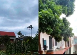 Lần nào nhờ đưa đón, con rể cũng tạt vào cây xăng, lý do khiến mẹ vợ nghẹn lòng