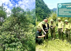Một thoáng Cao Biền