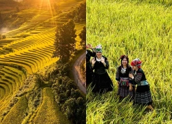 Mường Bo mùa lúa chín - Vẻ đẹp bình yên nơi thung lũng cuối trời Sa Pa
