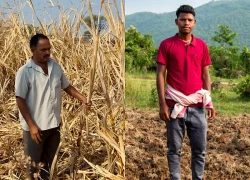 Nông dân Ấn Độ lo El Nino cực đoan khi mùa mưa đến muộn
