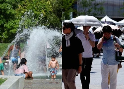Số ca tử vong do nắng nóng tăng cao tại Hàn Quốc