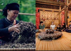Chuẩn OCOP mở lối nâng tầm du lịch cộng đồng Việt Nam