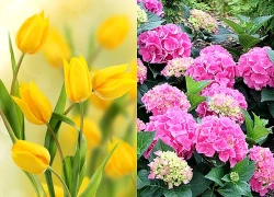 Đúng ngày mai, Chủ Nhật 5/7/2026, 3 con giáp mất lộc Trời ban, 'tiền mất tật mang', làm gì cũng khó khăn trắc trở, vận xui bủa vây