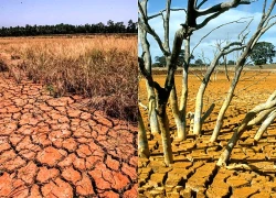 El Nino làm tăng rủi ro thời tiết cực đoan, châu Âu chịu tác động ra sao?