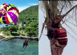 Gặp sự cố dù bay ở Hạ Long, 2 du khách mắc kẹt treo lơ lửng trên cây dừa