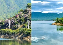 Hồ Lanh Ra - Vẻ đẹp bình yên giữa núi rừng Phước Hậu