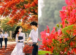 Mùa hoa học trò
