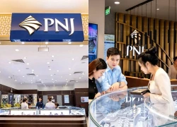 PNJ giảm sàn hai phiên, mất hơn 4000 tỷ, em trai Chủ tịch muốn ‘gom’ cổ phiếu