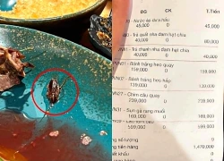 Cô gái Hà Nội tố có gián trong nước ép, chủ quán nói "không biết từ đâu"