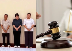 "Thay áo" hàng Trung Quốc, trúng hơn 30 gói thầu ngành điện ở TPHCM