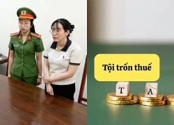 Tội Trốn thuế được đề xuất sửa đổi như thế nào trong Bộ luật Hình sự?
