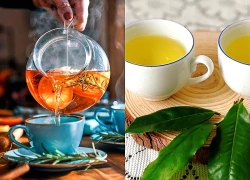 Uống trà mỗi ngày tác động thế nào đến tim mạch?