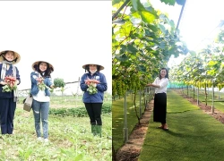 Du lịch xứ Nghệ khắc phục khoảng trống mùa vụ