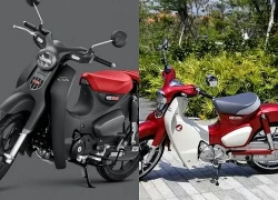 Cập nhật bảng giá xe Honda Super Cub C125 mới nhất tháng 7/2026
