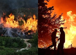 Cháy rừng bùng phát khắp Nam Âu
