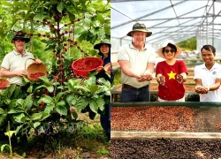 Định vị Khe Sanh trên bản đồ du lịch cà phê châu Á