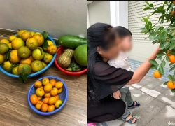 Mẹ chồng tính tiền từng mớ rau, quả trứng cho con cháu, nàng dâu xử lý 'cao tay'