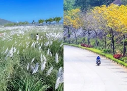 Những cung đường đẹp nhất quê Tiểu Vy dành cho người mê xê dịch