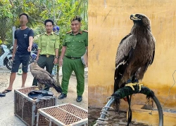 Nuôi 6 con đại bàng, diều hâu, nam thanh niên bị phạt 7,5 triệu đồng