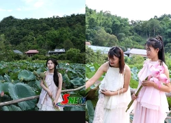 Mùa sen ở bản Híp