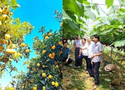 Tiềm năng du lịch trải nghiệm ở Phúc Thuận