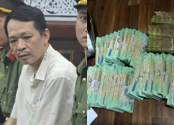 Tin lời "chạy án", người đàn ông ở TPHCM mất 7,5 tỷ đồng
