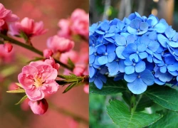 Trong 2 tháng tới, 3 con giáp này lộc về như bão lũ, vận khí tăng ngùn ngụt, một bước lên hương, công danh rạng rỡ, đào hoa khởi sắc