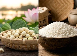 8 thực phẩm giúp kiện tỳ, cải thiện tiêu hóa và tăng hấp thu dinh dưỡng