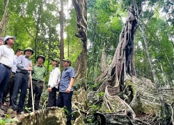 Gia Lai biến rừng đặc dụng thành điểm du lịch sinh thái