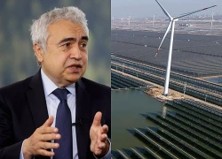 Giám đốc IEA: Châu Âu mắc sai lầm lớn khi điện khí hóa quá chậm
