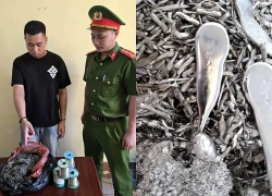 Khởi tố đối tượng tham ô tài sản tại doanh nghiệp FDI