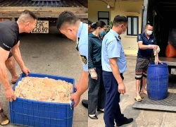 Phát hiện 480kg lòng lợn bốc mùi hôi thối đang trên đường đi tiêu thụ