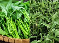 Rau muống giàu dinh dưỡng nhưng có 2 lưu ý khi ăn