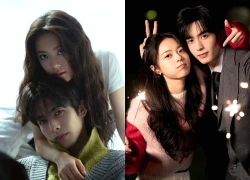 Tống Uy Long và Triệu Kim Mạch có tái hợp trong dự án mới?