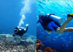 Chủ tịch Lý Sơn trực tiếp lặn giám sát rạn san hô