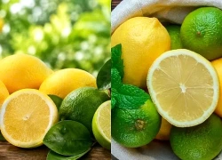 Chanh vàng hay chanh xanh tốt hơn? Câu trả lời có thể khiến nhiều người bất ngờ
