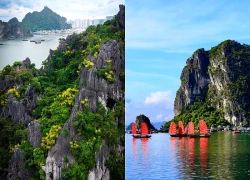 Đặc sắc trải nghiệm thuyền ba vách Cánh buồm đỏ ngắm hoa phất dụ ở Quảng Ninh
