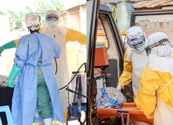 Dịch Ebola: WHO cảnh báo 80% ca bệnh không rõ nguồn lây