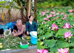 Vẻ đẹp bị bỏ quên ở vùng đất sen hồng quê Hồ Văn Cường