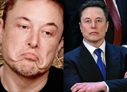 Elon Musk mất 407 tỷ USD chỉ sau một tháng