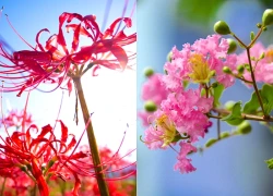 Giờ VÀNG đã điểm, 00h00 đêm nay, 3 con giáp Phú Quý nhất vùng, vinh quang vô lượng, Lộc bay đầy nhà, thoát nghèo thành công