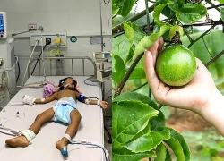 Kịp thời cứu 2 cháu bé ngộ độc sau khi ăn chanh dây