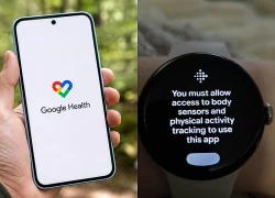 Lỗi quyền truy cập trên Google Health: Người dùng Pixel Watch bế tắc dù đã khôi phục cài đặt gốc