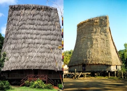 "Tây Nguyên thu nhỏ" giữa lòng Củ Chi